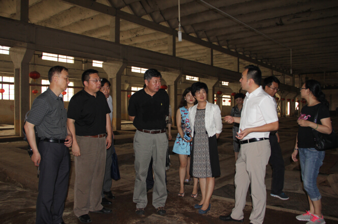 山東省文物局領導視察心心酒業